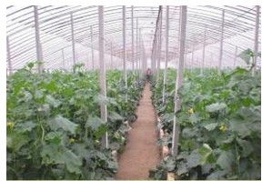 價(jià)格廠家圖片